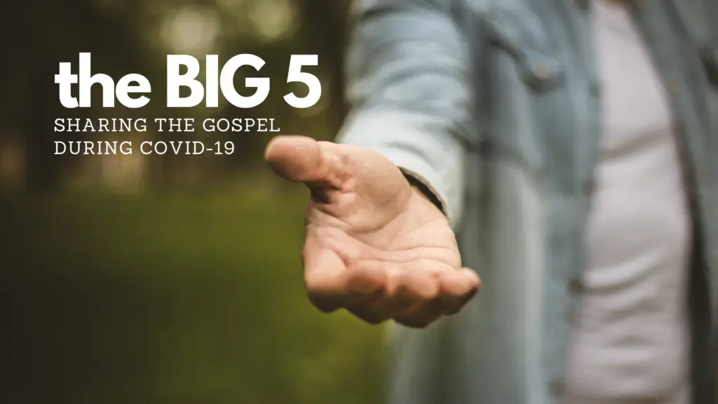 the big 5 background 2
